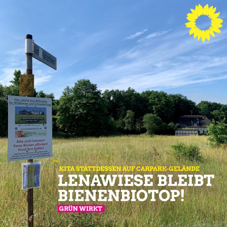 Lenawiese bleibt Bienenbiotop 🐝