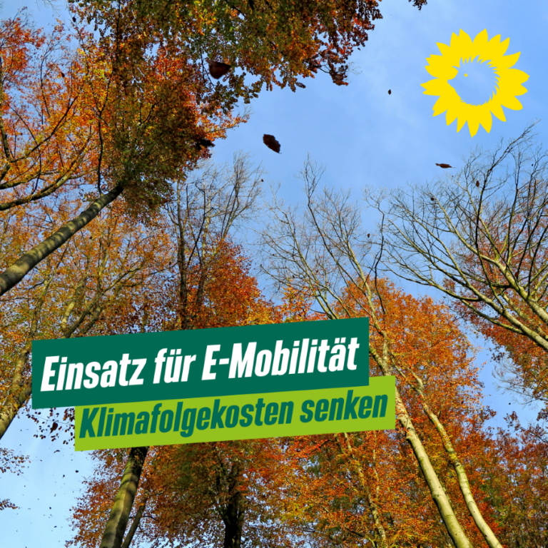 Einsatz für E-Mobilität – Klimafolgekosten senken